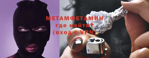 прущие грибы Балабаново