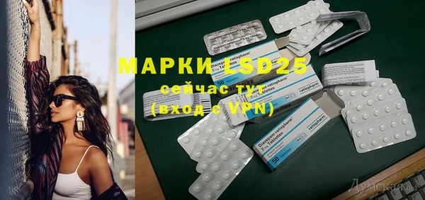 прущие грибы Балабаново