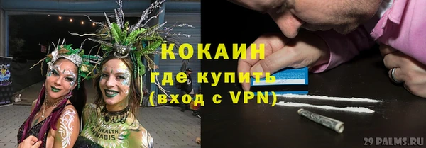 прущие грибы Балабаново