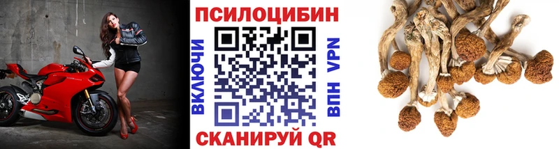 закладка Кодинск Псилоцибиновые грибы MAGIC MUSHROOMS